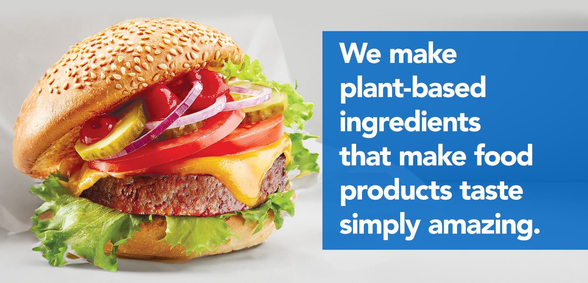 We make plant-based ingredients that make food products taste simply amazing.
