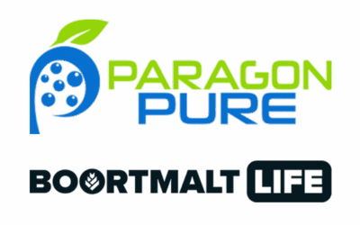 Paragon Pure and Boortmalt Partnership Expands Multi Benefit Naturally Sprouted Whole Grain Ingredients